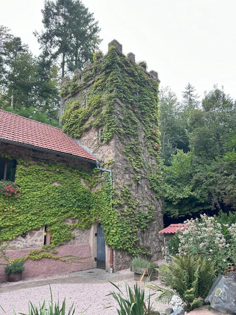Le Chateau Du Landsberg Barr Buitenkant foto